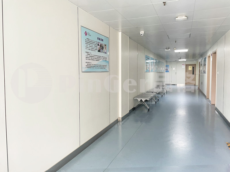 Antibacterial properties of Pinger wall panel