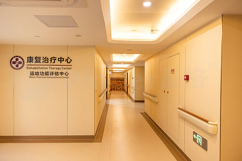 Rigid Vinly Wall Sheet